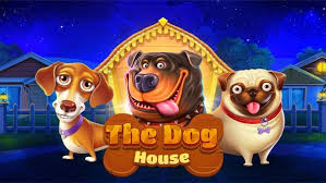 Dog House 5gringos casino slot